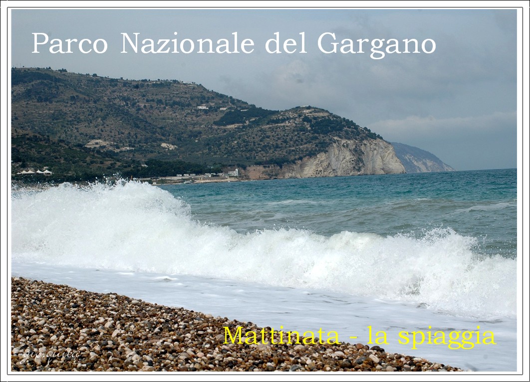 Gargano: una cartolina per voi